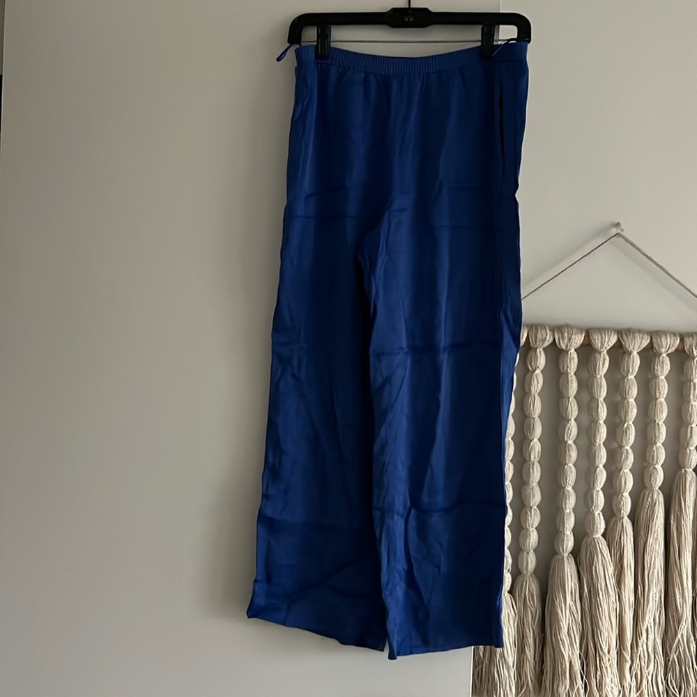Silk Blue Pants